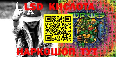 дживик Кингисепп