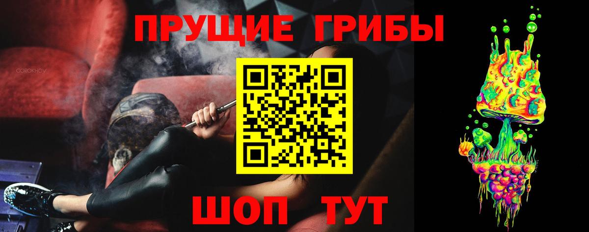 закладки  Галлюциногенные грибы Cubensis  Кузнецк  Вход с VPN  Галлюциногенные грибы Psilocybine cubensis 