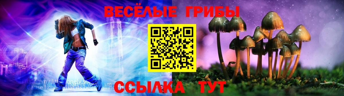 COCAIN  ГАШИШ  Кузнецк  МЕФ   Канабис  Вход с VPN 