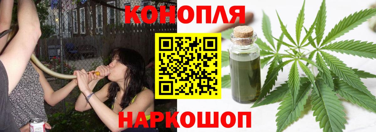 Кузнецк  Бошки Шишки ГИДРОПОН  Шишки марихуана планчик  Бошки Шишки OG Kush  Вход с VPN 